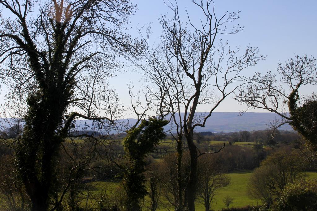 Woodview House Bed And Breakfast Ballinrobe Habitación foto
